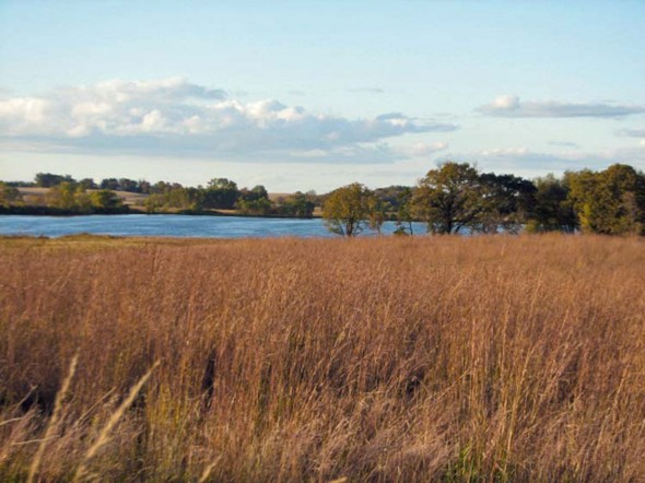 Fall 20103 Fall 20103