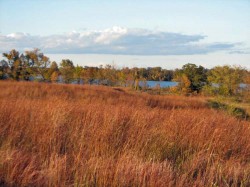 N Lake Todd Looking NE from teh Gallery